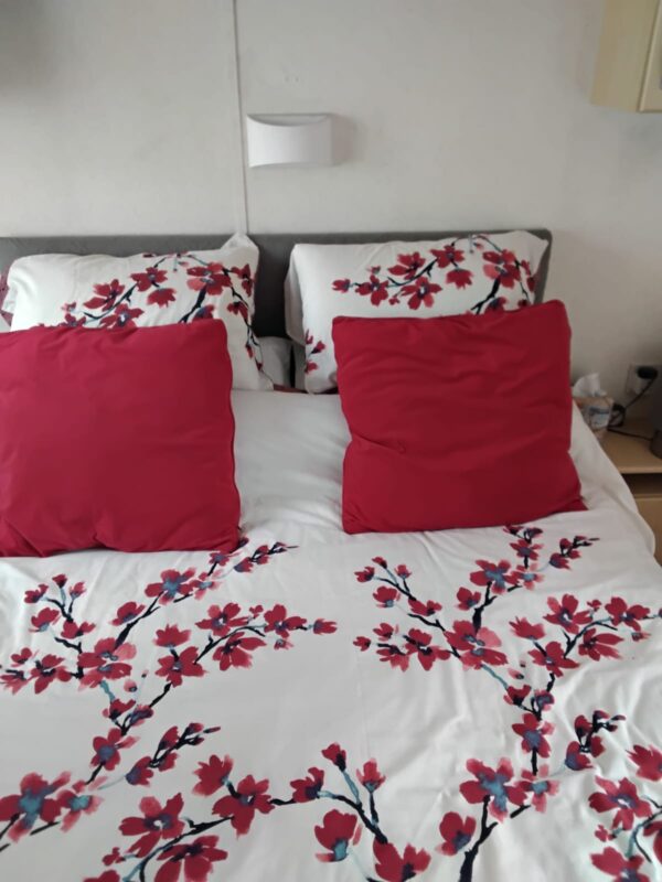 Carnaby Ridgeway 2010 model 37' x 12' 2 bedroom - Image 10