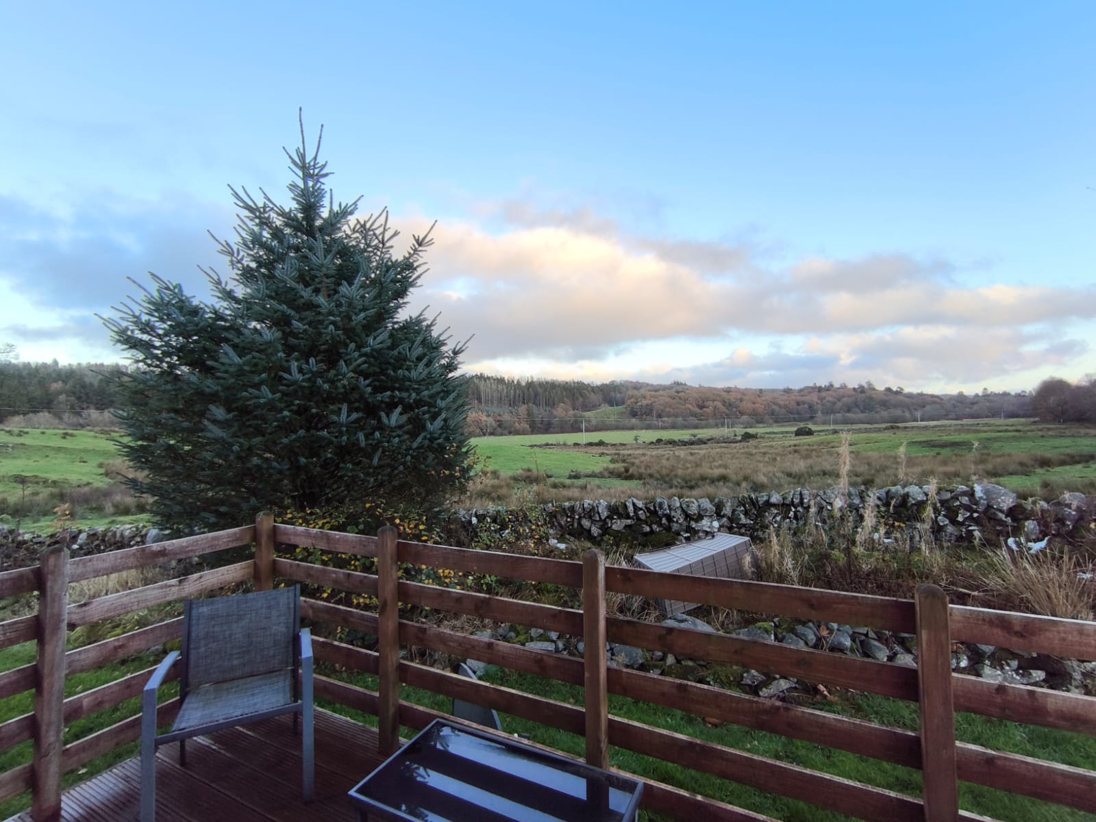 Tingdene Lodge 3 bedroom, 41ft x 13ft - Image 6